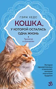 Купить Кошка, у которой осталась одна жизнь — Фото №1