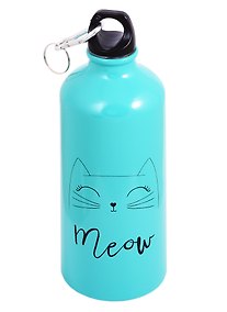 Купить Бутылка с карабином Котик Meow (металл) (600мл) (12-16107-A600-A1) — Фото №1