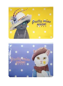 Купить Папка на молнии B5 "Pretty cats", пластик, Languo — Фото №1