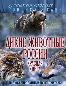 Купить Дикие животные России. Красная книга: иллюстрированный путеводитель — Фото №1