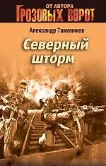 Купить Северный шторм — Фото №1