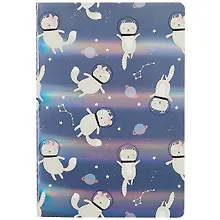 Купить Тетрадь в клетку Хансибэг, Astro cats, 32 листа — Фото №1