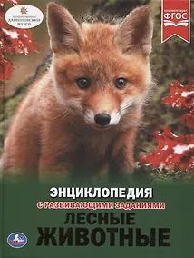 Купить Лесные животные. Энциклопедия с развивающими заданиями — Фото №1
