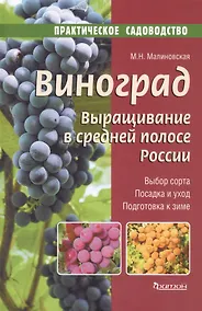 Купить Виноград.Выращивание в средней полосе России.Выбор сорта.Посадка и уход.Подготовка к зиме — Фото №1