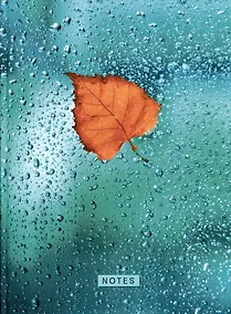 Купить Книга для записей А4 160л кл. "Осенний лист" 7БЦ, глянцевая ламинация — Фото №1