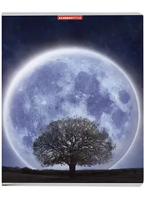 Купить Тетрадь в клетку Academy Style, "Фантастическая Луна", 80 листов — Фото №1
