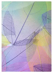 Купить Папка 20ф А4 "Листья" — Фото №1