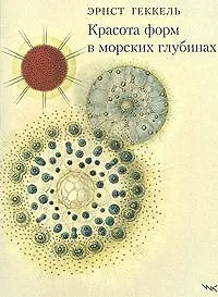 Купить Красота форм в морских глубинах — Фото №1