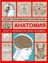 Купить Анатомия.Мозг и нервная система человека: Иллюстрированный справочник — Фото №1