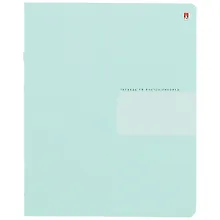 Купить Тетрадь в линейку Альт, Zefir Сolors, 18 листов, в ассортименте — Фото №1