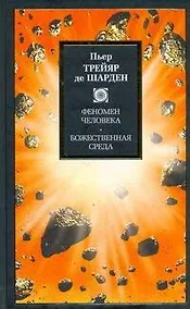 Купить Феномен человека. Божественная среда — Фото №1