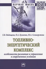 Купить Топливно-энергетический комплекс:особенности развития и управления в современных условиях — Фото №1