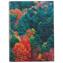 Купить Тетрадь на кольцах в клетку Listoff, "Панорама леса", 160 листов — Фото №1