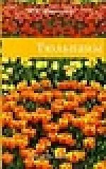 Купить Тюльпаны — Фото №1