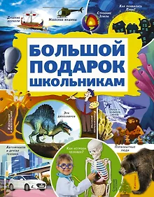 Купить Большой подарок школьникам — Фото №1