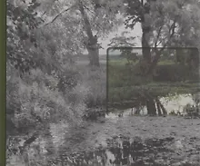 Купить Сними мне Левитана! — Фото №1