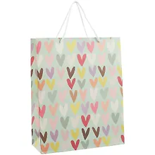 Купить Пакет А4 32*26*10 "Разноцветные сердца.Basic" нейтр., бум.мат.ламинат — Фото №1