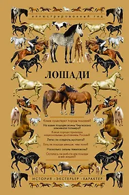 Купить Лошади. Иллюстрированный гид — Фото №1