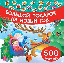 Купить Большой подарок на Новый год — Фото №1