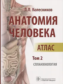 Купить Анатомия человека Атлас Т. 2 Спланхнология (м) Колесников — Фото №1