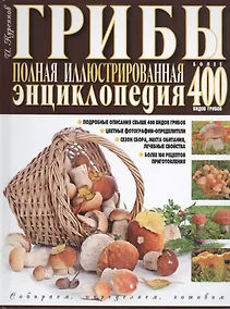 Купить Грибы Полная илл. энциклопедия Более 400 видов грибов... (Куреннов) — Фото №1