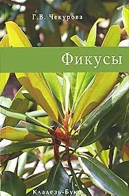 Купить Фикусы — Фото №1