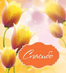 Купить Спасибо — Фото №1