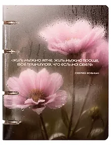 Купить Тетрадь 80л кл. "После дождя.1" на кольцах, мел.картон, глянц.ламинация, квадр.корешок, скругл.углы — Фото №1