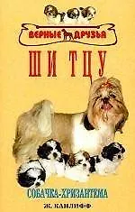 Купить Ши тцу. Собачка-хризантема — Фото №1