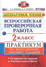 Купить Всероссийская проверочная работа. Литературное чтение. 2 кл. Практикум. ФГОС — Фото №1