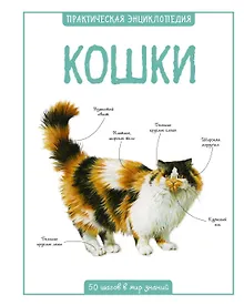 Купить Кошки — Фото №1