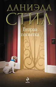 Купить Вторая попытка — Фото №1