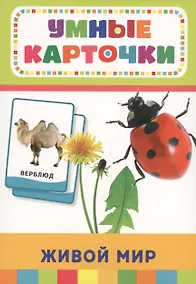 Купить Живой мир (32 карточки в коробке) — Фото №1