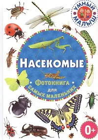 Купить Насекомые. Фотокнига для самых маленьких — Фото №1