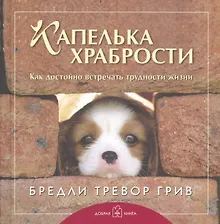 Купить Лучшему другу. Капелька храбрости. Как достойно встречать трудности жизни (комплект из 3 книг) — Фото №1
