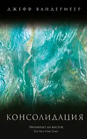 Купить Консолидация — Фото №1