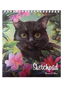 Купить Скетчбук 168*195 30л "Кот" белый офсет, 120г/м2, спираль — Фото №1