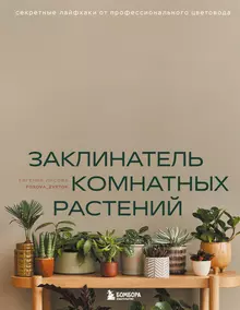 Как выбрать ручной фрезер по дереву | Рейтинг лучших моделей в году