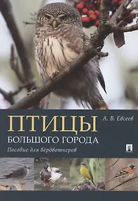 Купить Птицы большого города. Пособие для бёрдвотчеров — Фото №1