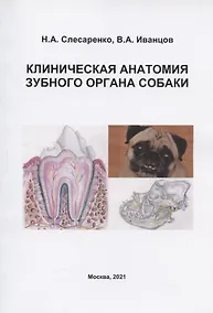 Купить Клиническая анатомия зубного органа собаки. Учебно-методическое пособие — Фото №1