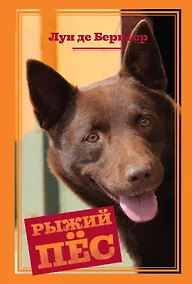Купить Рыжий пёс — Фото №1