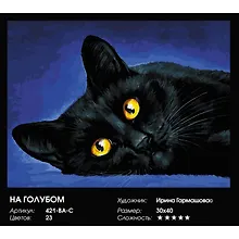 Купить Набор для творчества Живопись на холсте 30х40см На голубом 421-BA-C — Фото №1