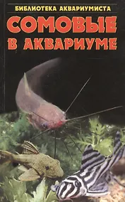 Купить Сомовые в аквариуме — Фото №1