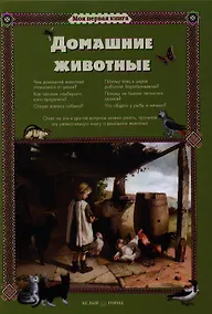 Купить Домашние животные — Фото №1