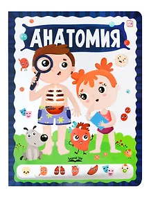 Купить Анатомия — Фото №1