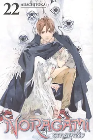 Купить Noragami: Stray God 22 — Фото №1