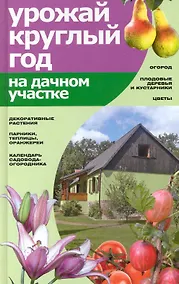 Купить Урожай круглый год на дачном участке — Фото №1