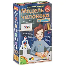 Купить Игровой набор, Японские опыты Науки с Буки Bondibon/Бондибон Модель человека 196408 — Фото №1