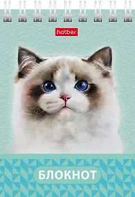 Купить Блокнот А7 40л кл. "Глазки, ушки, носик" мел.картон, гребень, ассорти — Фото №1