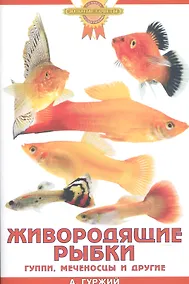 Купить Живородящие рыбки — Фото №1